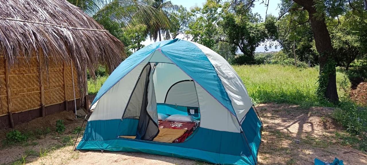 האמפי Banana Tree Home Stay מראה חיצוני תמונה