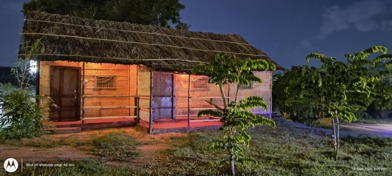 האמפי Banana Tree Home Stay מראה חיצוני תמונה