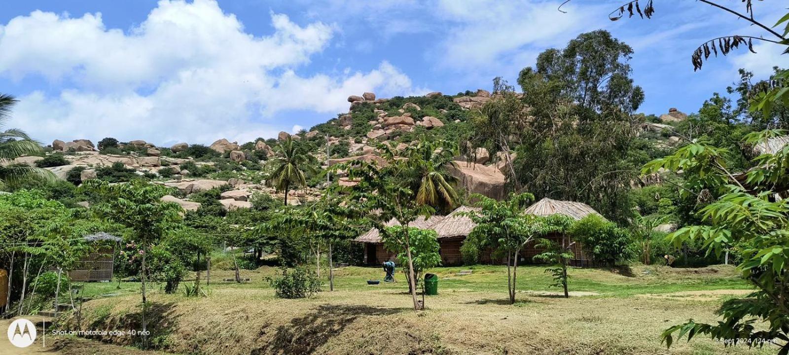 האמפי Banana Tree Home Stay מראה חיצוני תמונה